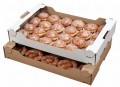 Pudełko na ciasta, ciastka, pączki 60 x 40 x 9 cm białe