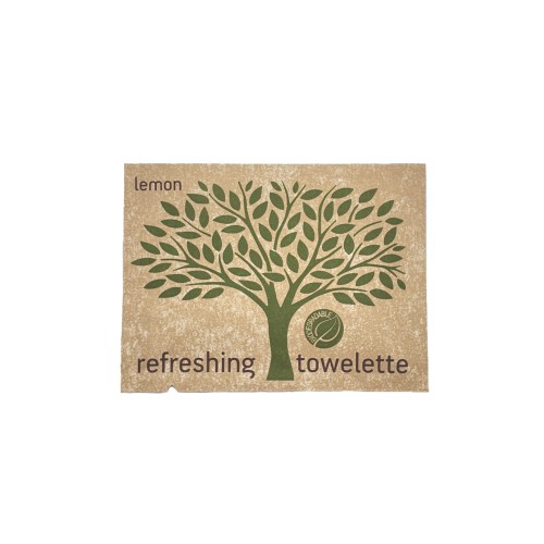 Chusteczki odświeżające NATURE 6 x 8 cm