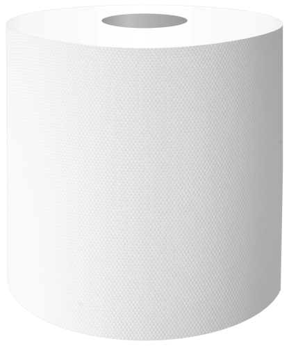 Ręcznik papierowy 2-warstwowy 26 cm x 200 m