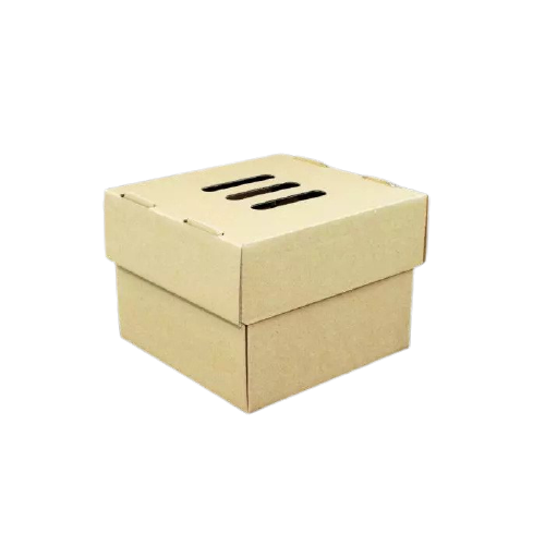 Burger box/tacka 15 x 15 x 10 cm