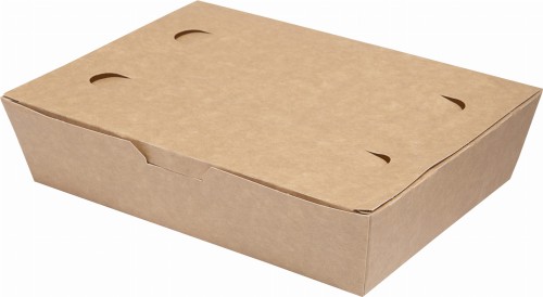 Food box, 20 x 14 x 5 cm, 950 ml