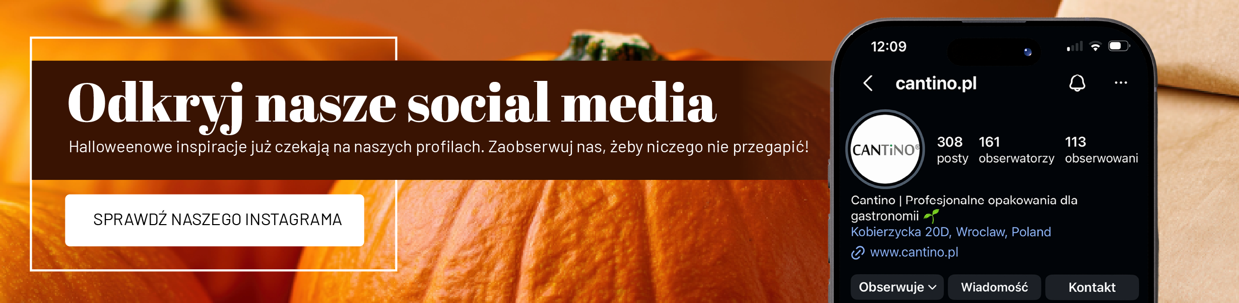 Sprawdź nasze social mecia - Cantino